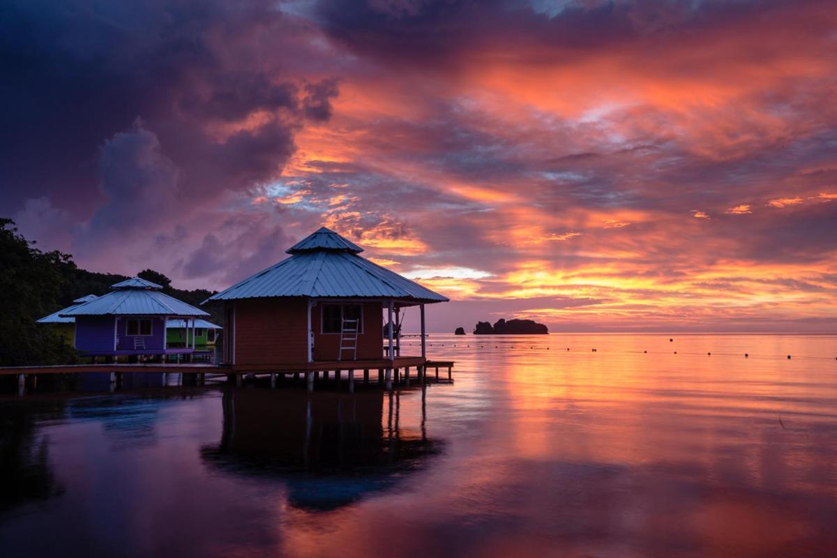 Mango Creek Lodge Port Royal Zewnętrze zdjęcie