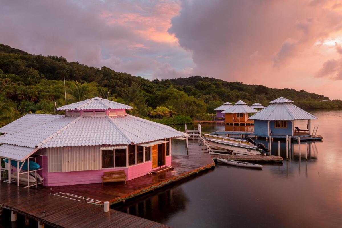 Mango Creek Lodge Port Royal Zewnętrze zdjęcie