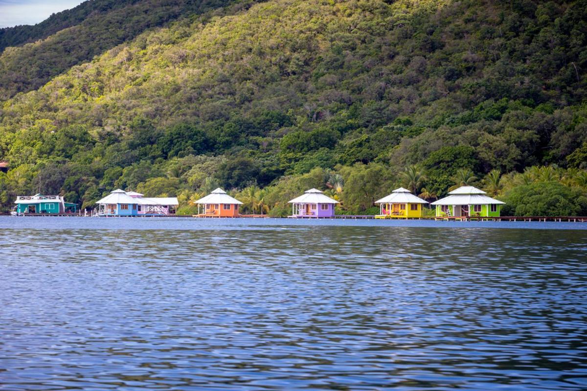Mango Creek Lodge Port Royal Zewnętrze zdjęcie