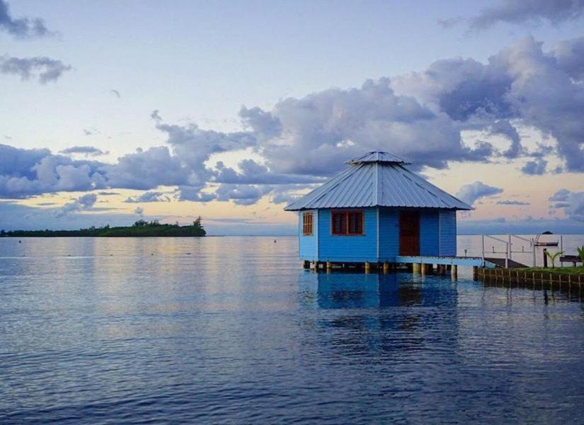 Mango Creek Lodge Port Royal Zewnętrze zdjęcie