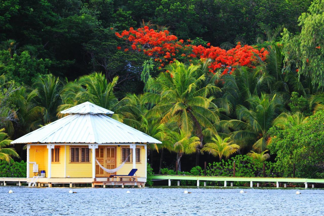 Mango Creek Lodge Port Royal Zewnętrze zdjęcie