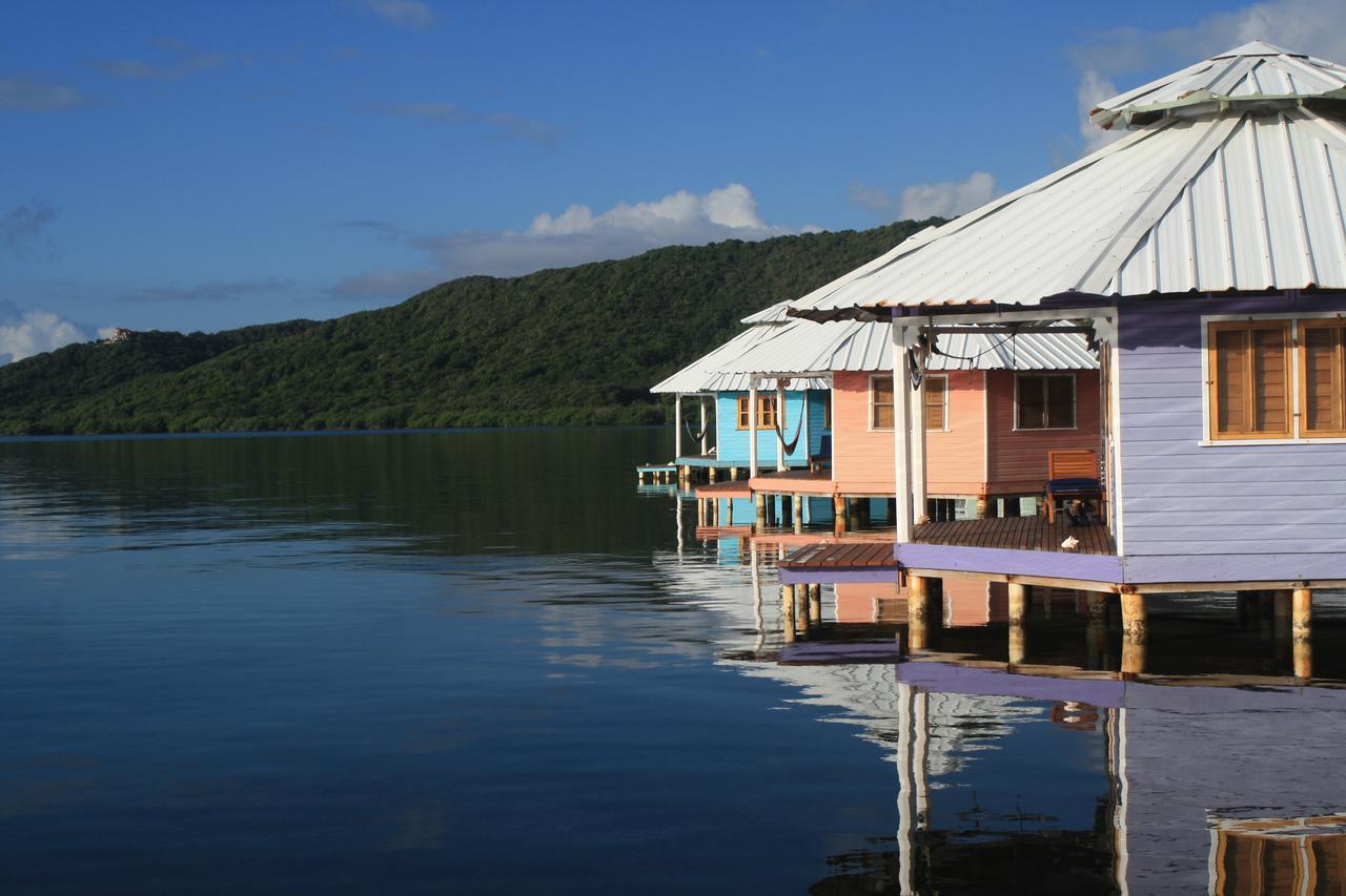 Mango Creek Lodge Port Royal Zewnętrze zdjęcie