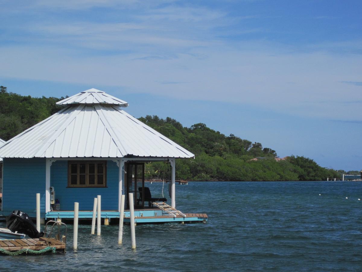 Mango Creek Lodge Port Royal Zewnętrze zdjęcie