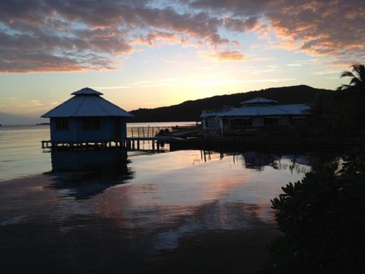 Mango Creek Lodge Port Royal Zewnętrze zdjęcie