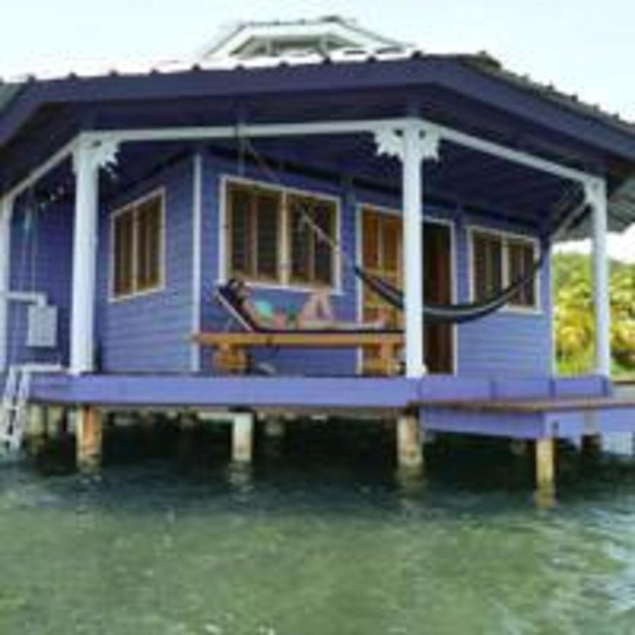 Mango Creek Lodge Port Royal Zewnętrze zdjęcie