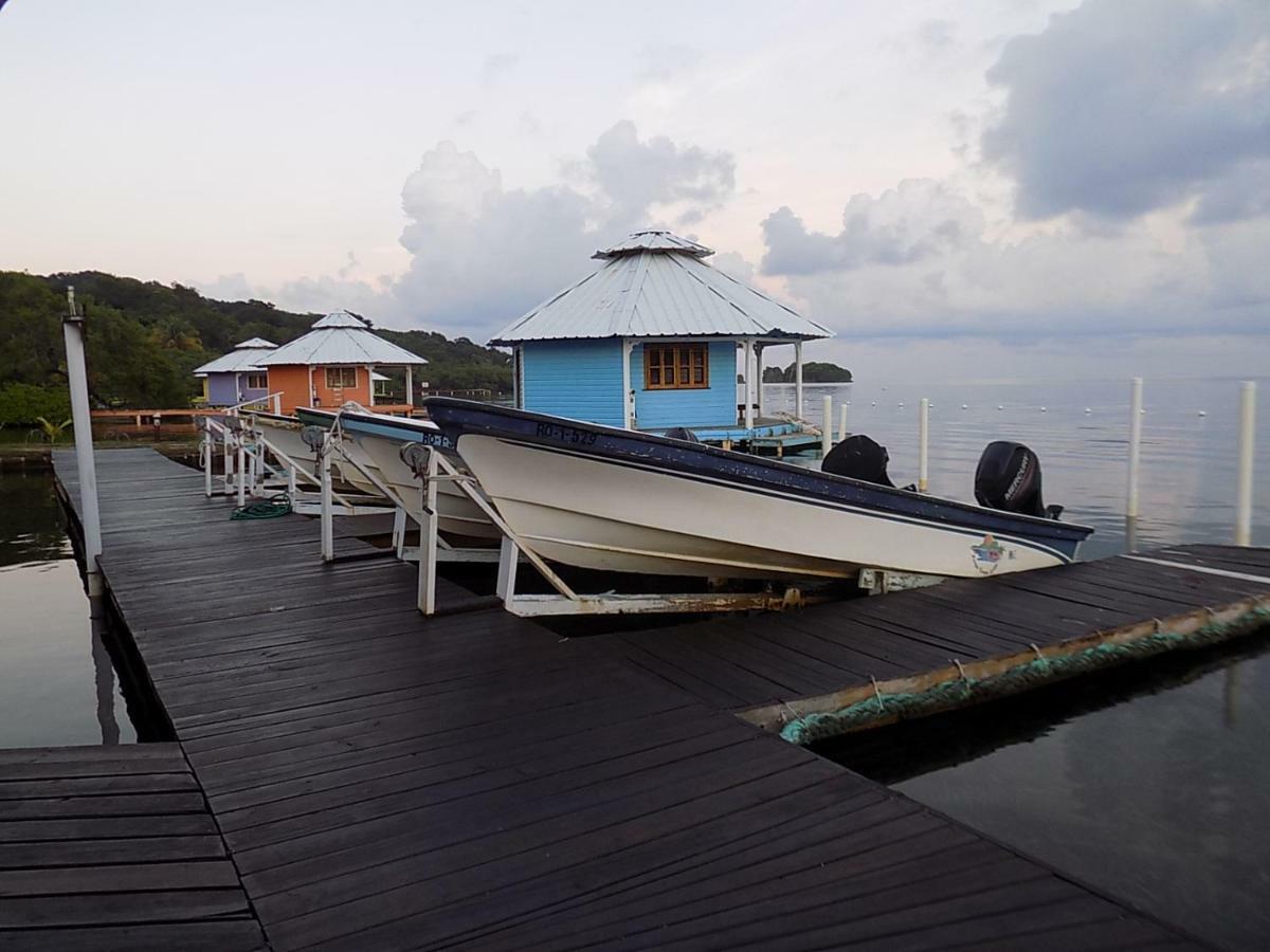 Mango Creek Lodge Port Royal Zewnętrze zdjęcie