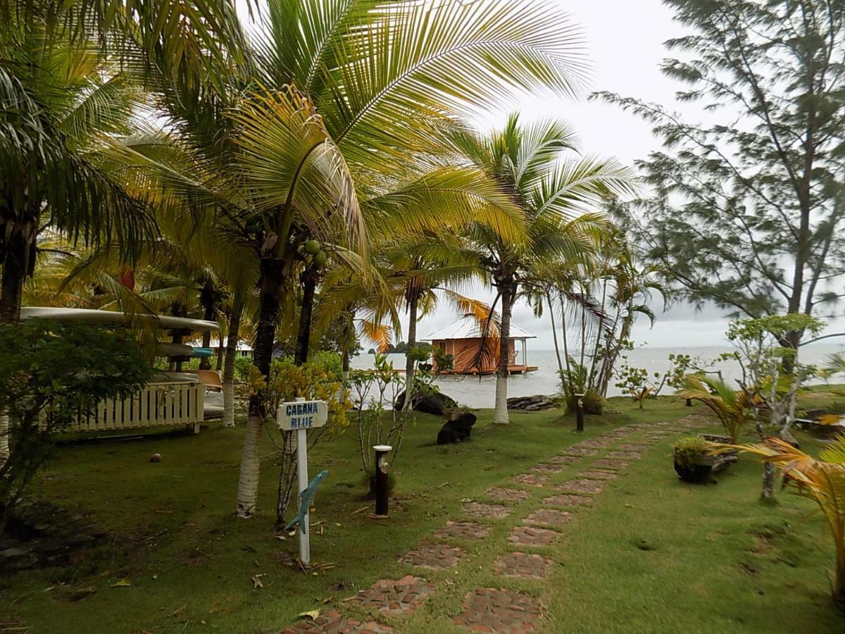 Mango Creek Lodge Port Royal Zewnętrze zdjęcie