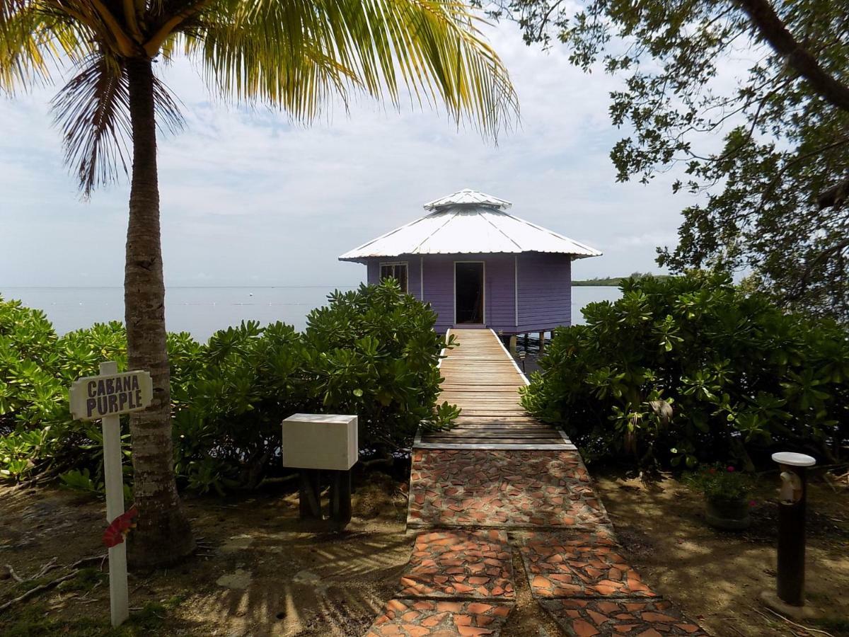 Mango Creek Lodge Port Royal Zewnętrze zdjęcie