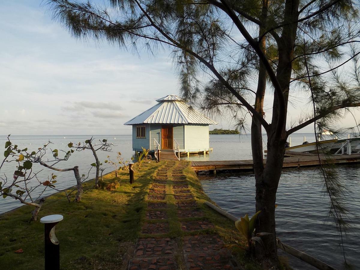 Mango Creek Lodge Port Royal Zewnętrze zdjęcie