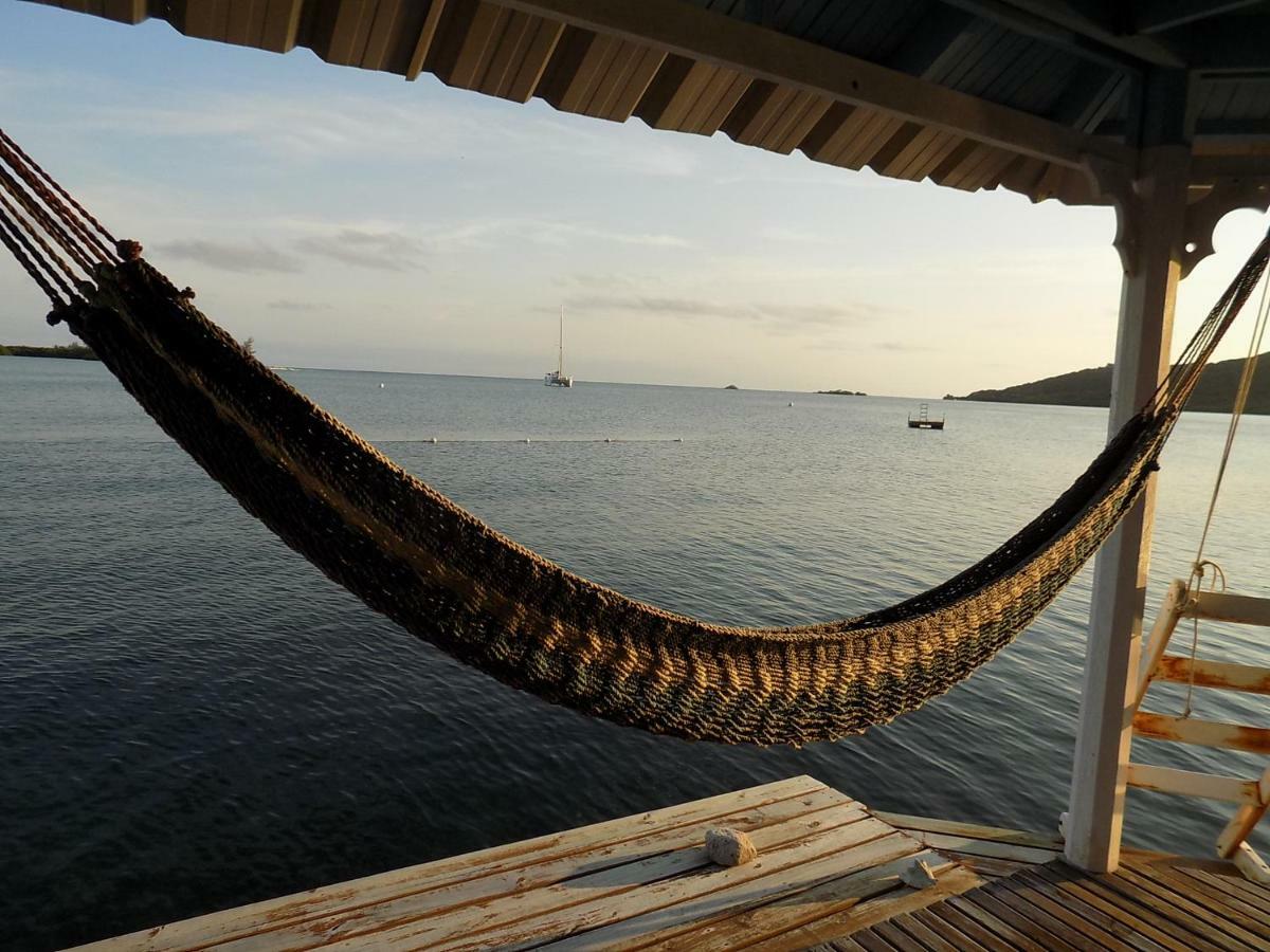 Mango Creek Lodge Port Royal Zewnętrze zdjęcie