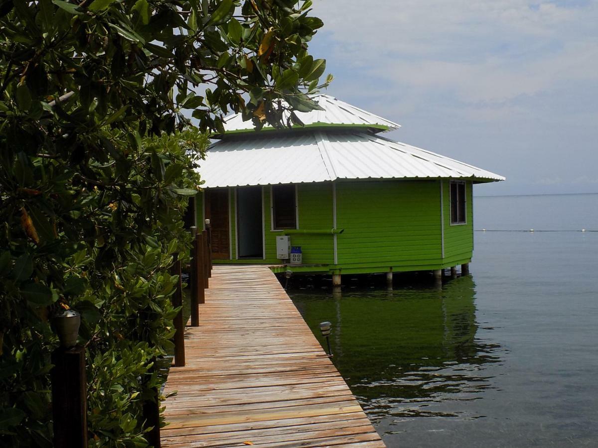 Mango Creek Lodge Port Royal Zewnętrze zdjęcie