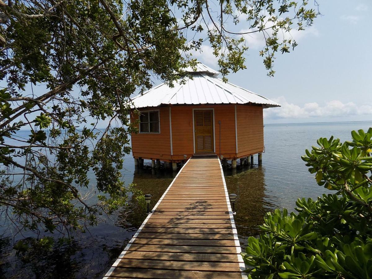 Mango Creek Lodge Port Royal Zewnętrze zdjęcie