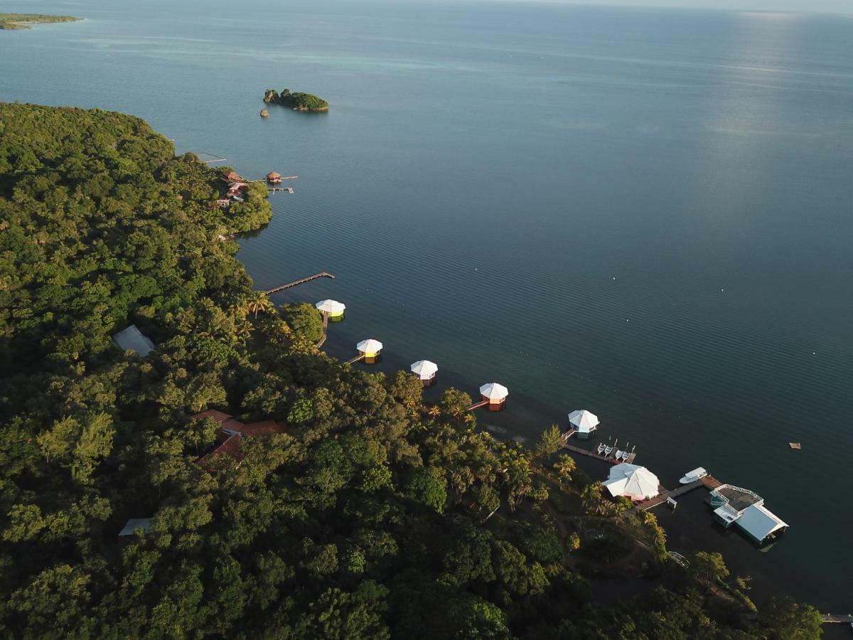 Mango Creek Lodge Port Royal Zewnętrze zdjęcie