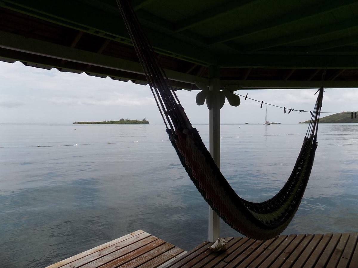 Mango Creek Lodge Port Royal Zewnętrze zdjęcie
